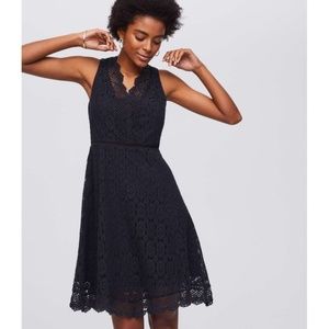 Loft Lace Dress NWT